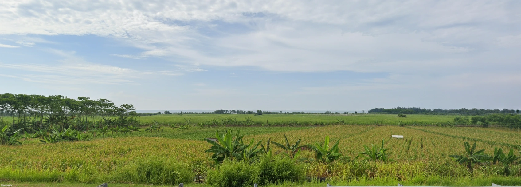 Alat dan Mesin Pertanian Modern